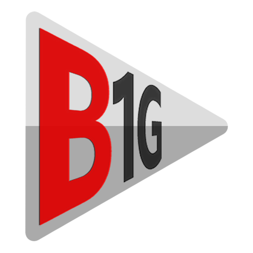 B1G Panel